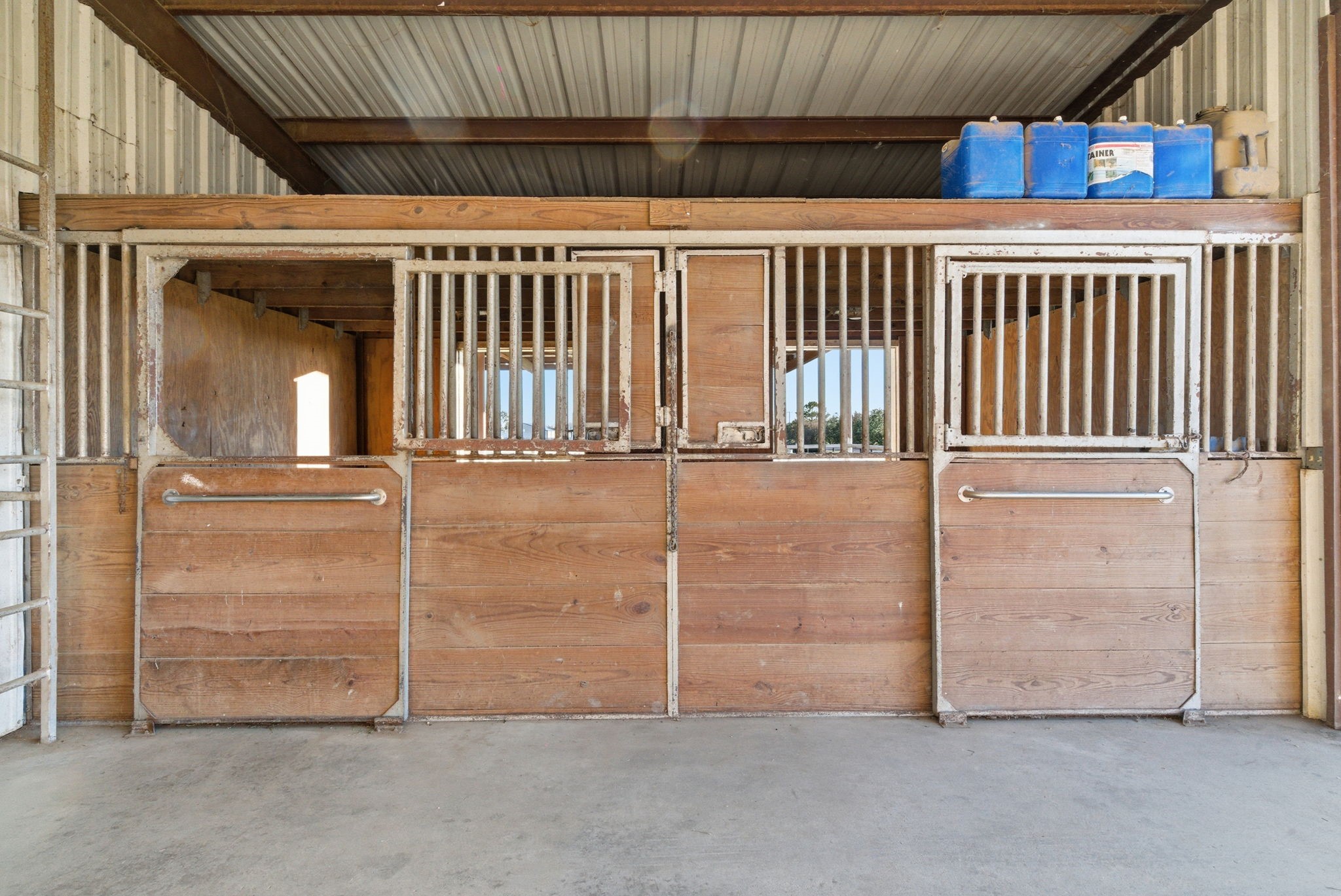 313 Buena Vista Drive