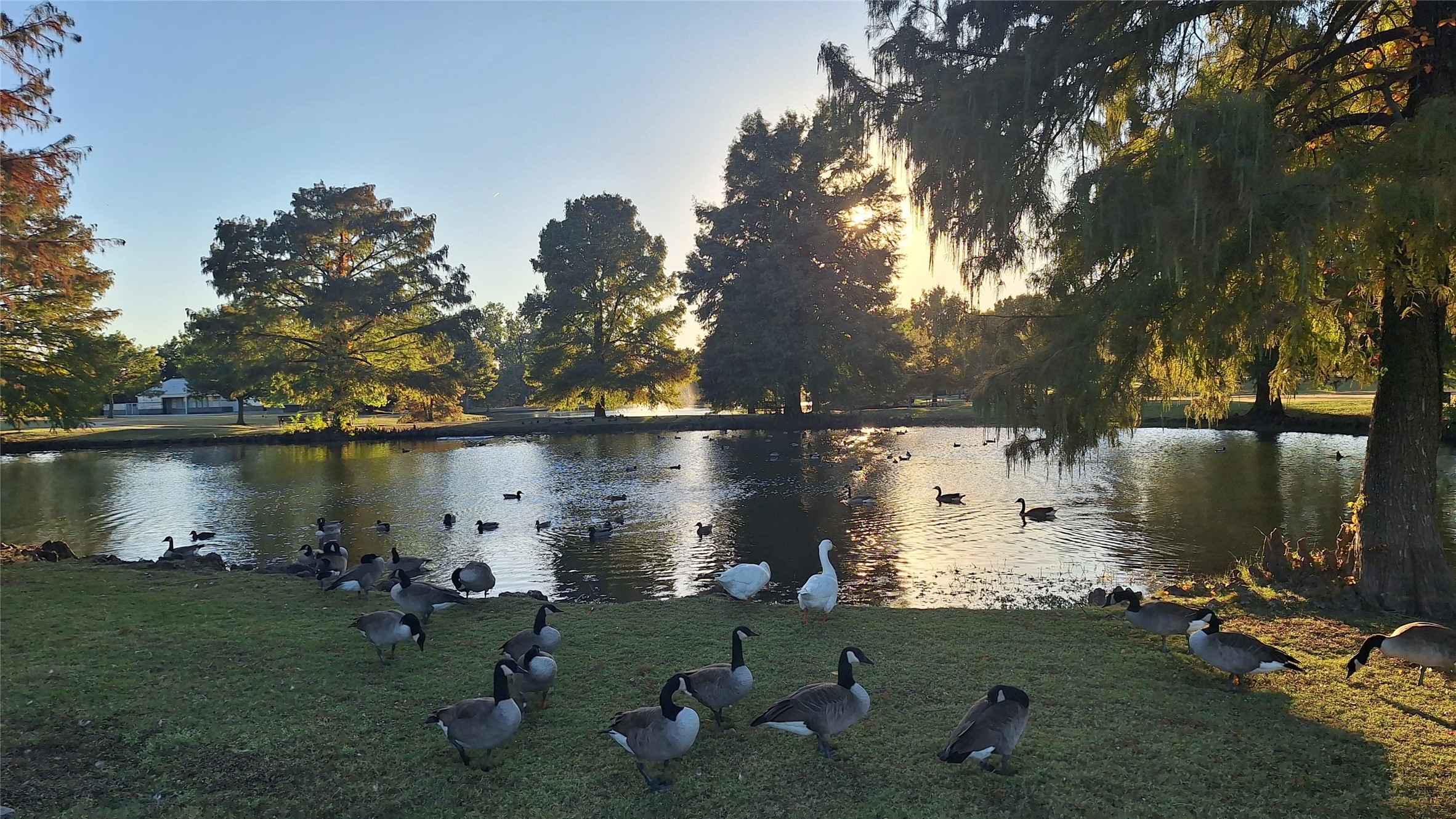 1328 Hillcrest Drive