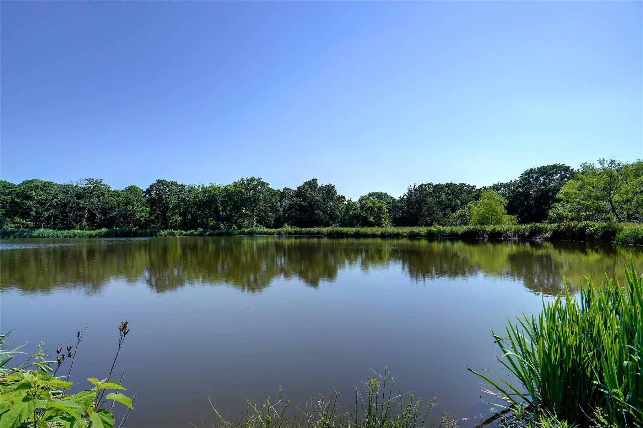 3800 Long Meadow Drive