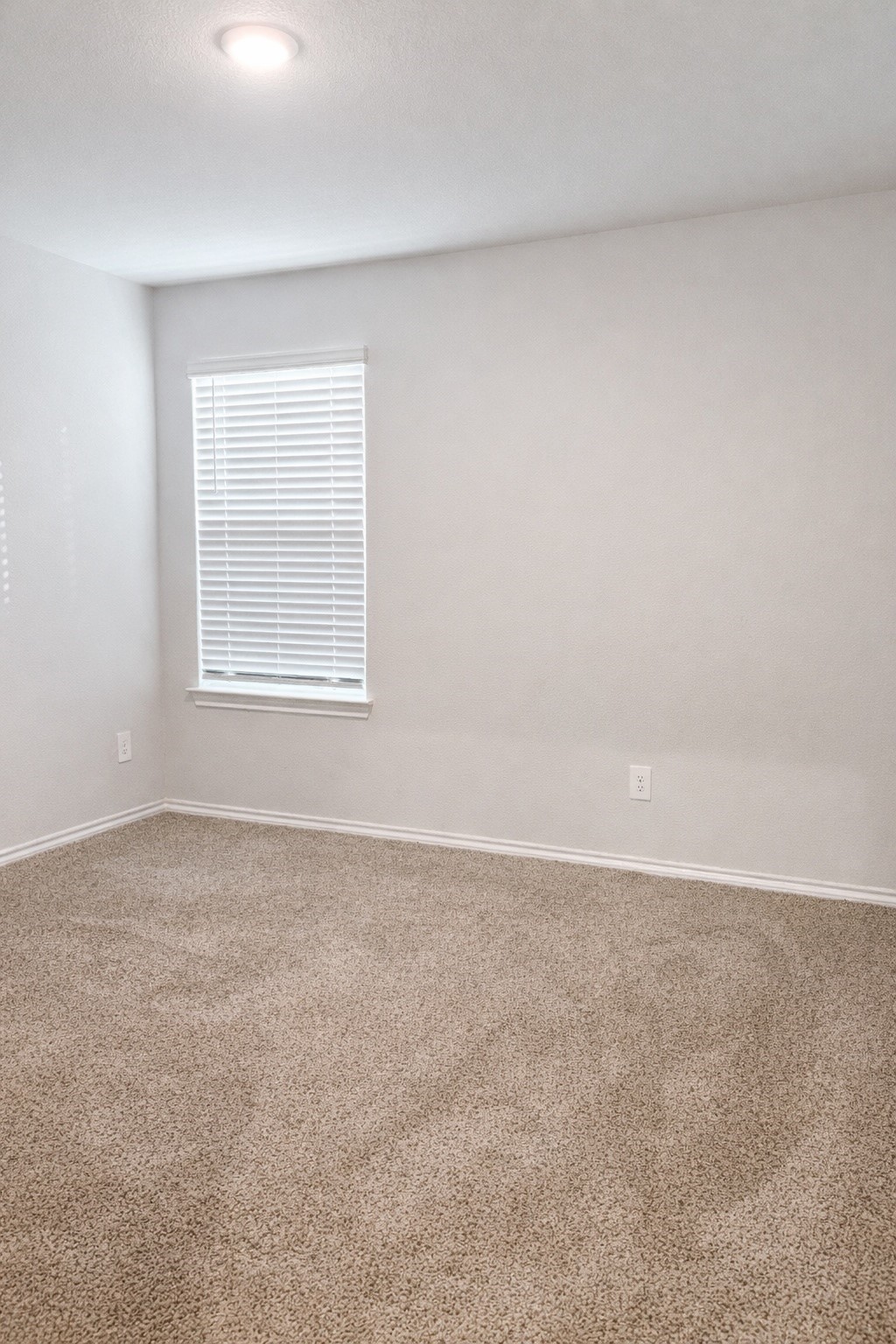 404 Beekeeper Drive