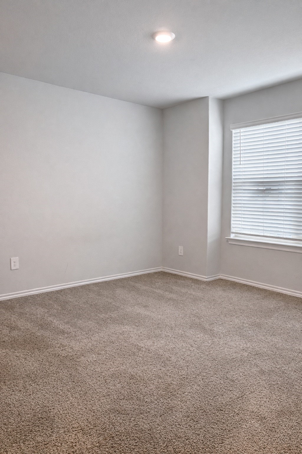 404 Beekeeper Drive