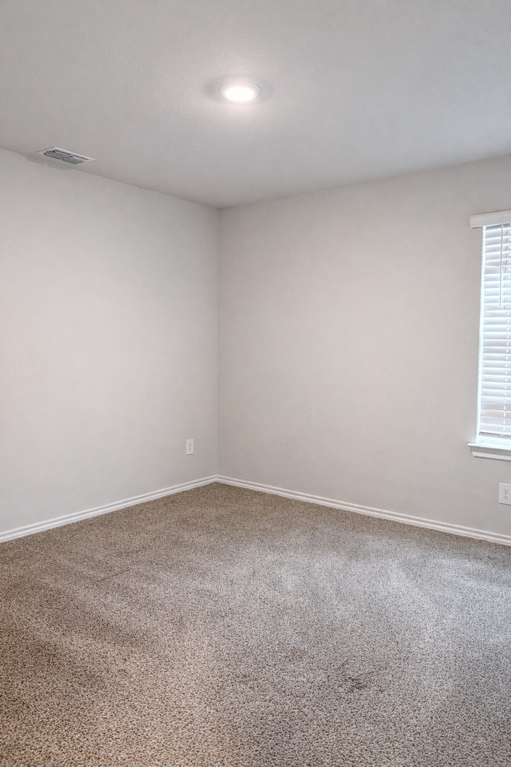 404 Beekeeper Drive