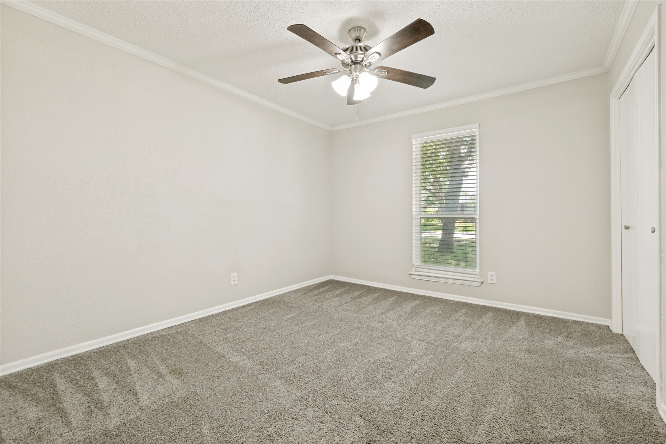 1317 Mt. Vernon Drive