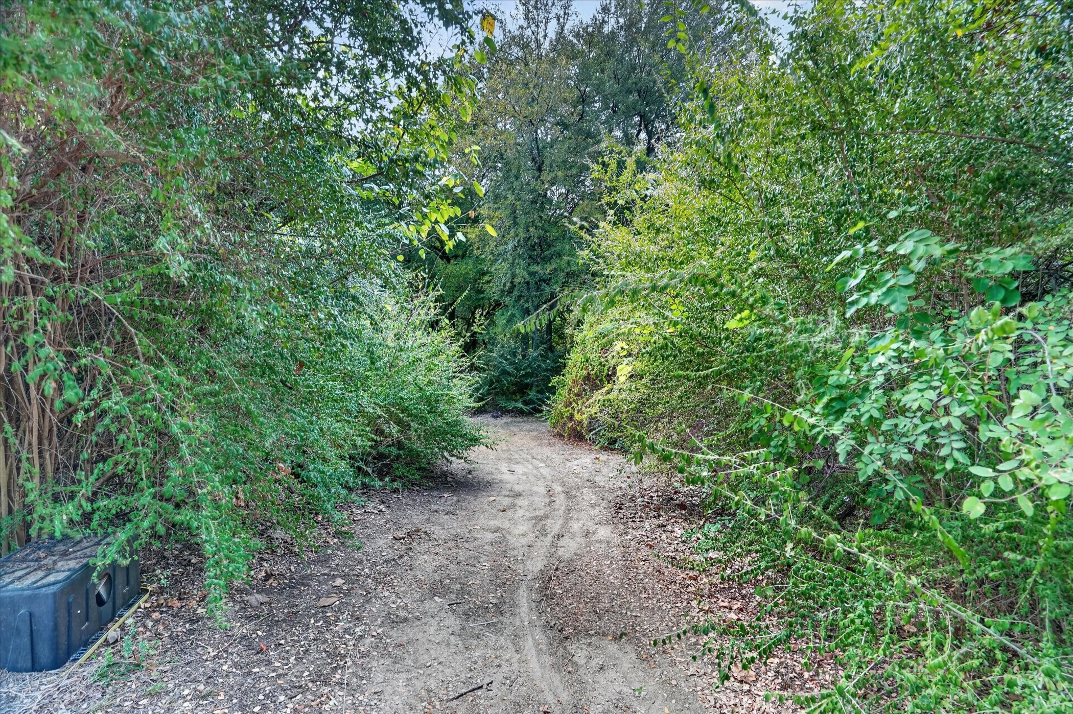 6608 Silver Oak Lane