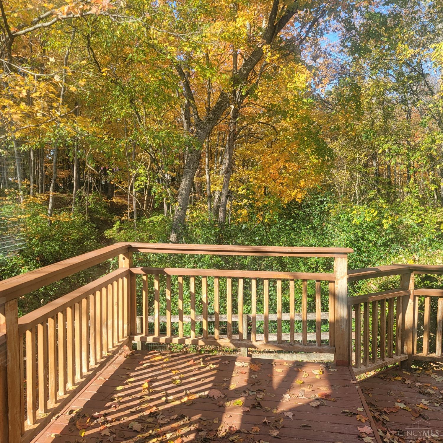 233 Hildebrant Drive