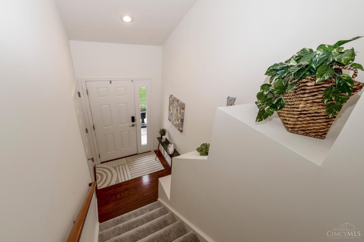 1242 Feather Trail
