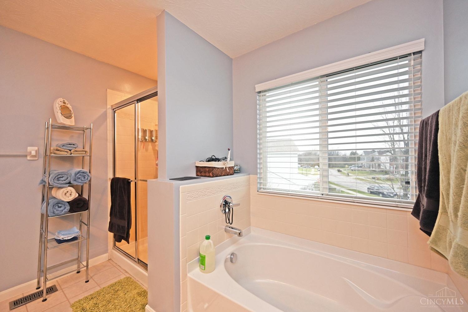 4619 Blainfield Court