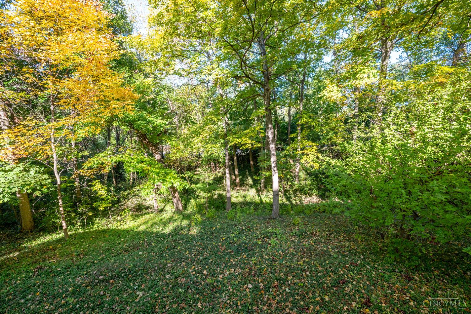 9571 Benchmark Lane