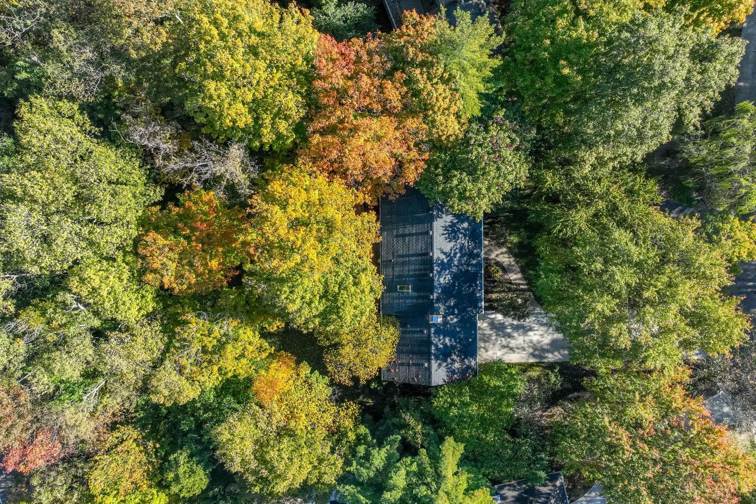 9571 Benchmark Lane