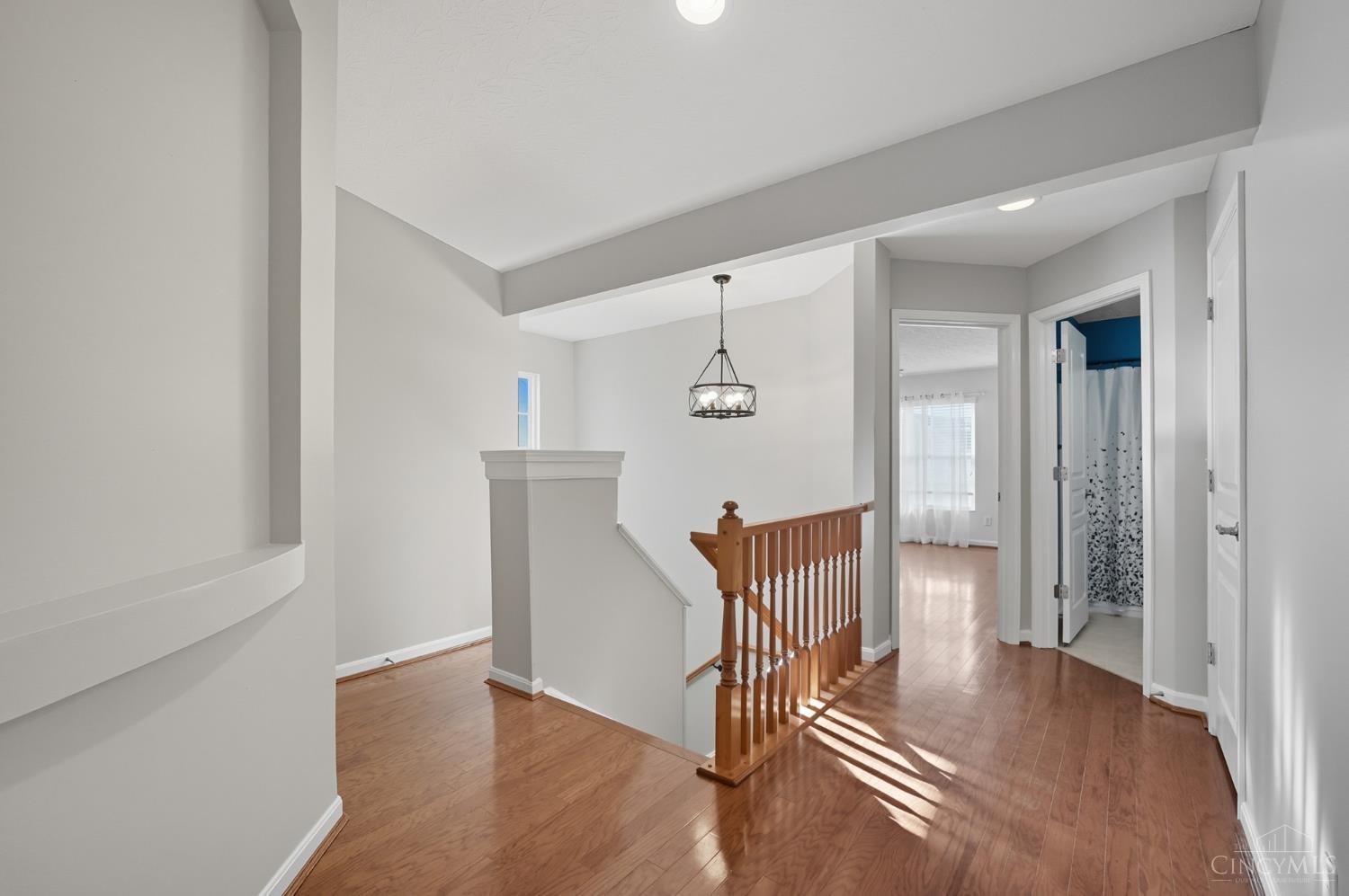 1194 Feather Trail