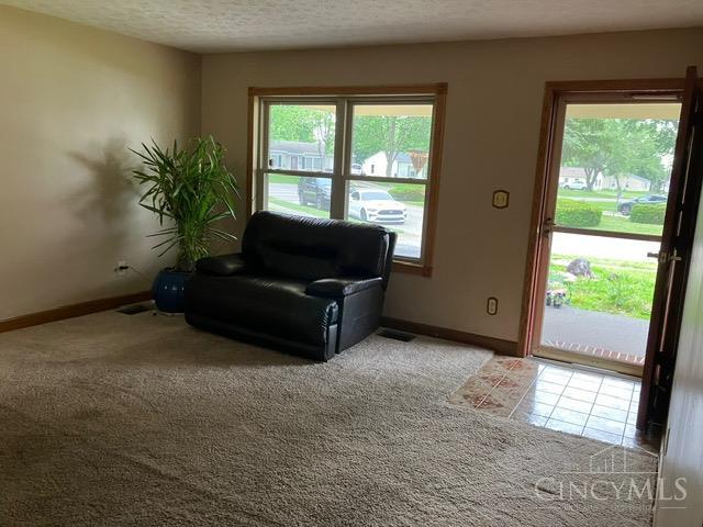 517 Millard Court