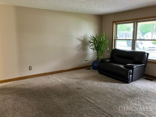 517 Millard Court