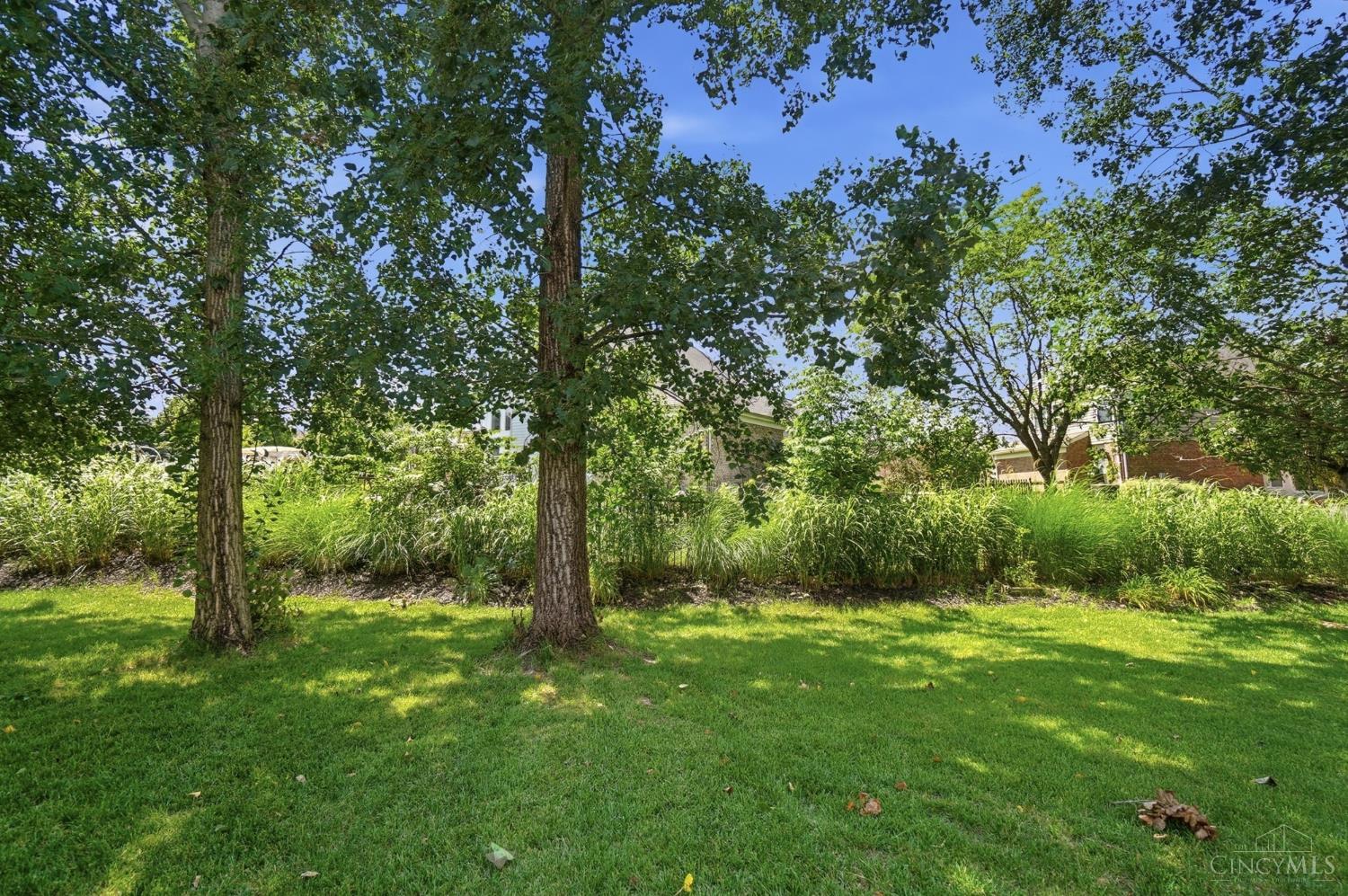 3715 Wrenwood Court