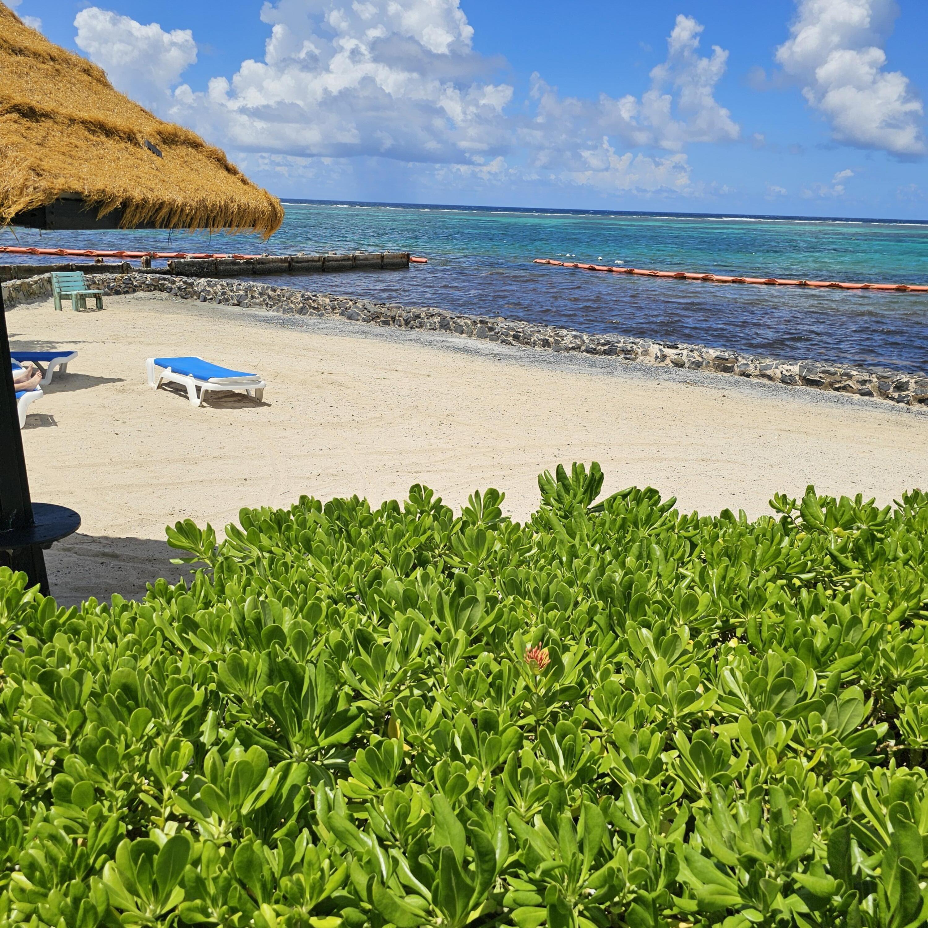 217 Golden Rock CO, Mill Harbour, St. Croix Unit: 217