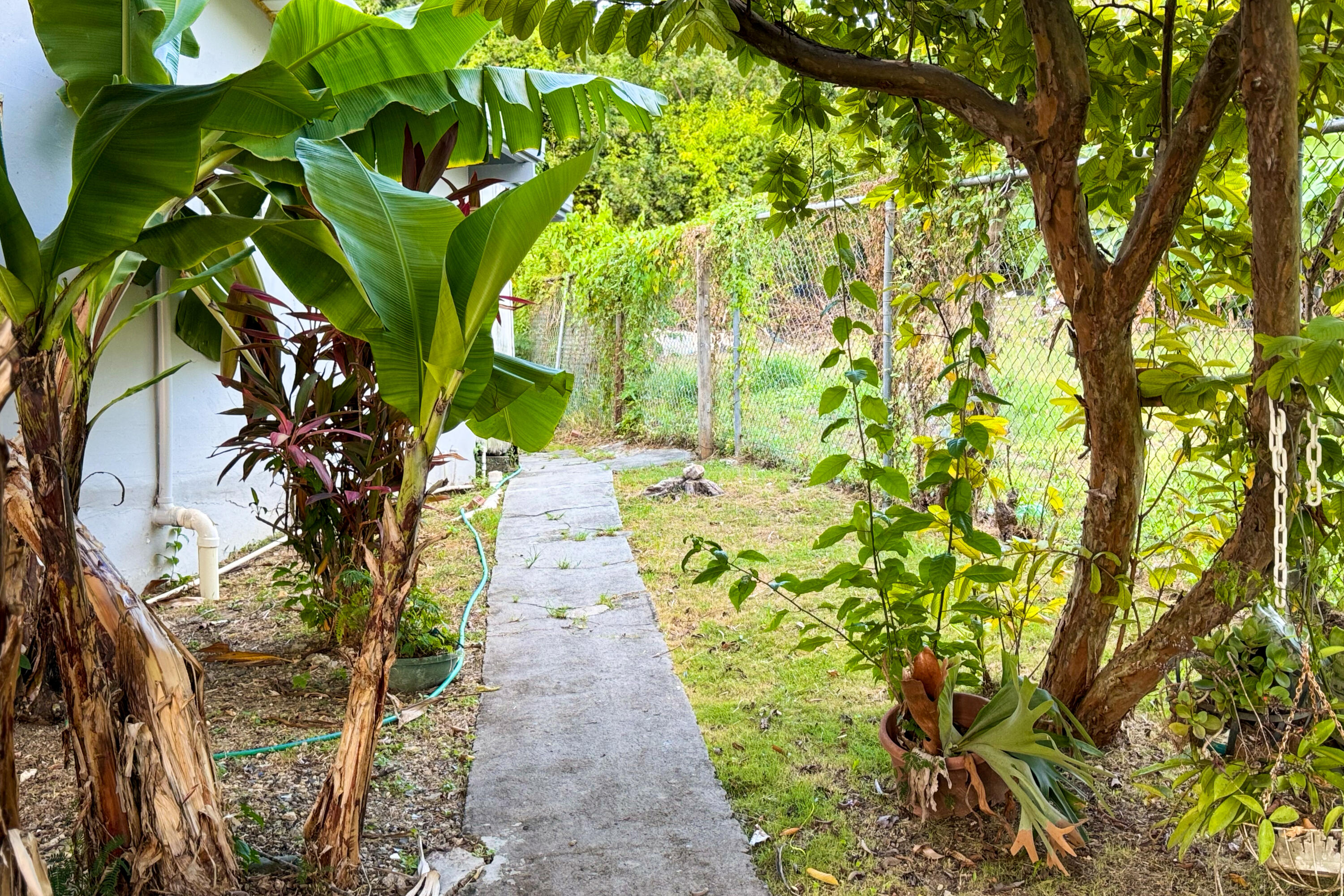 120 Rattan QU, 120, St. Croix Unit: 120