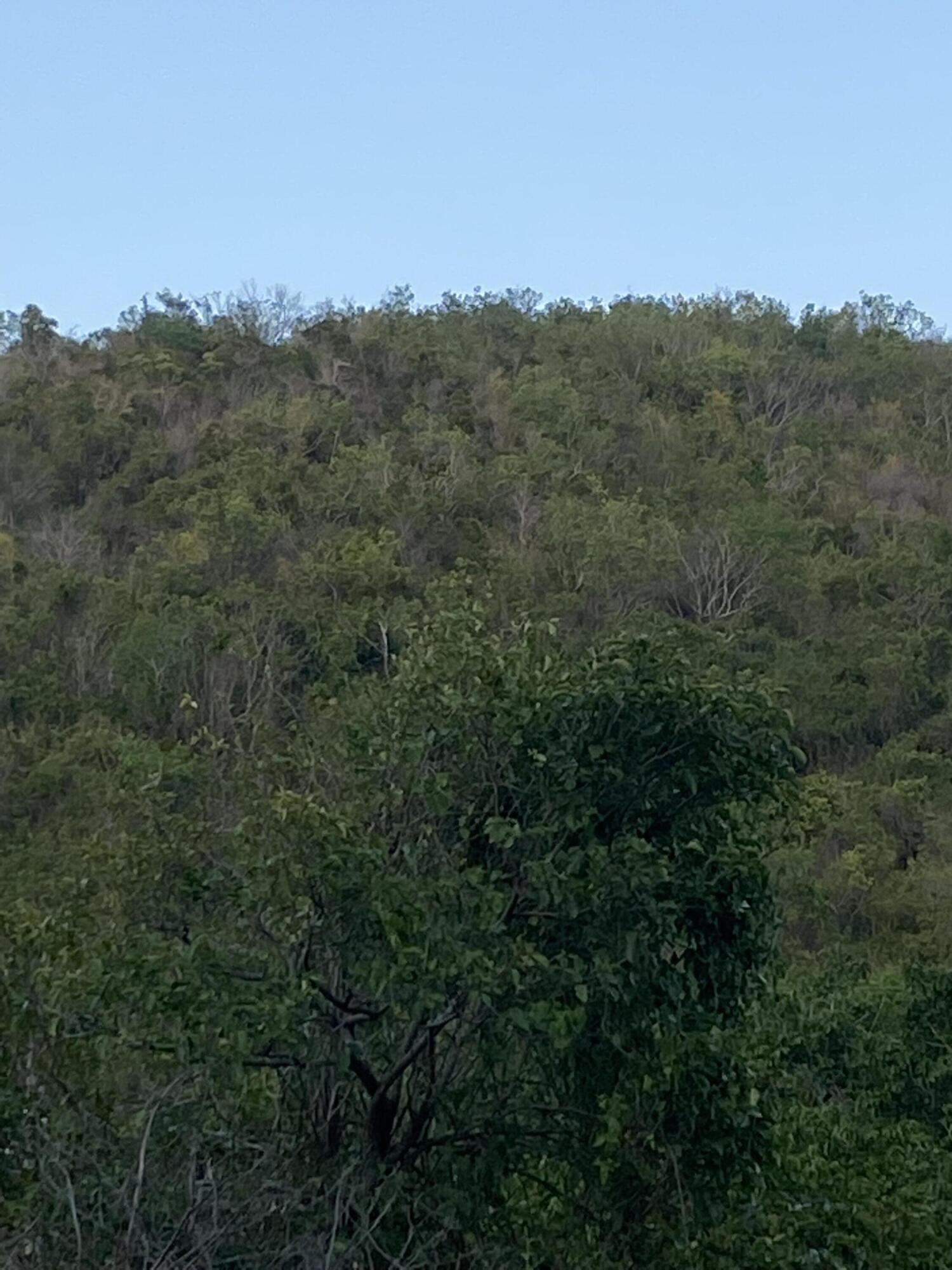 3 of 137 Mt. Welcome EA, 3 of 137, St. Croix Unit: 3 of 137
