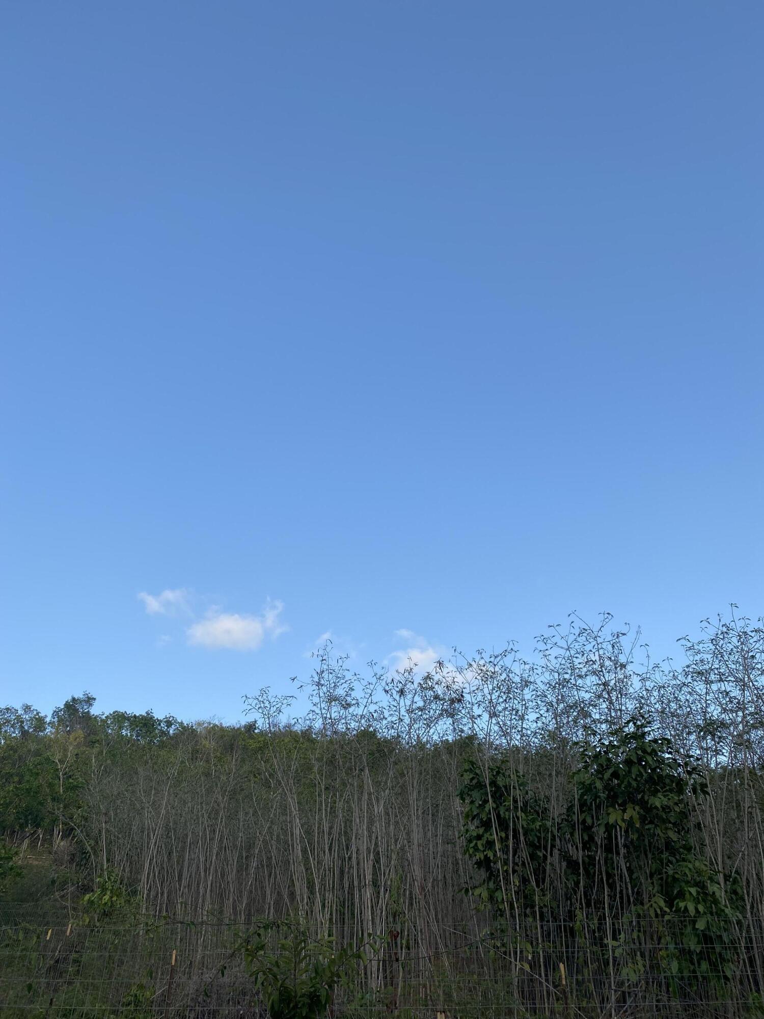 4 of 137 Mt. Welcome EA, 4 of 137, St. Croix Unit: 4 of 137