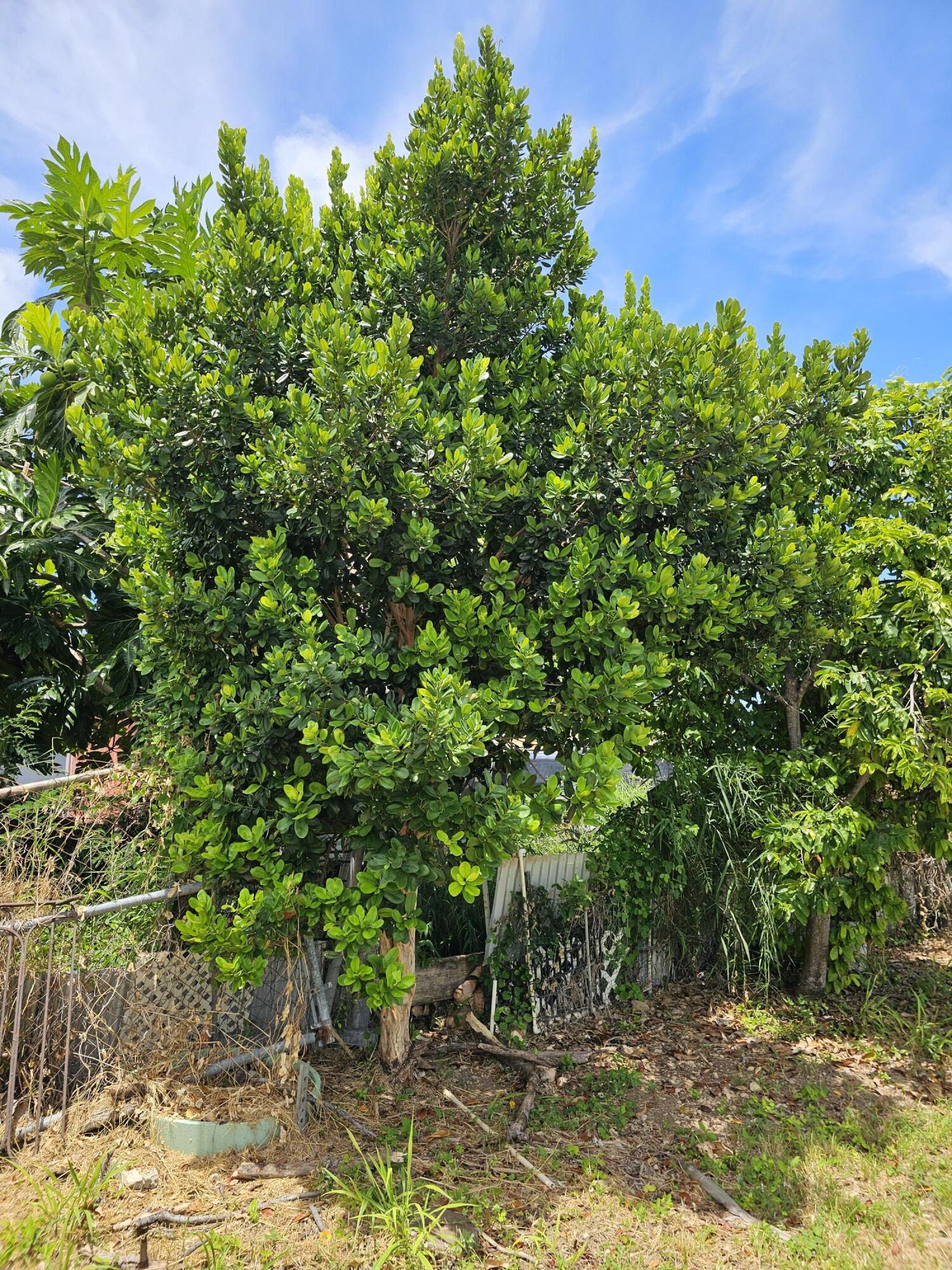 58 Humbug QU, 58, St. Croix Unit: 58