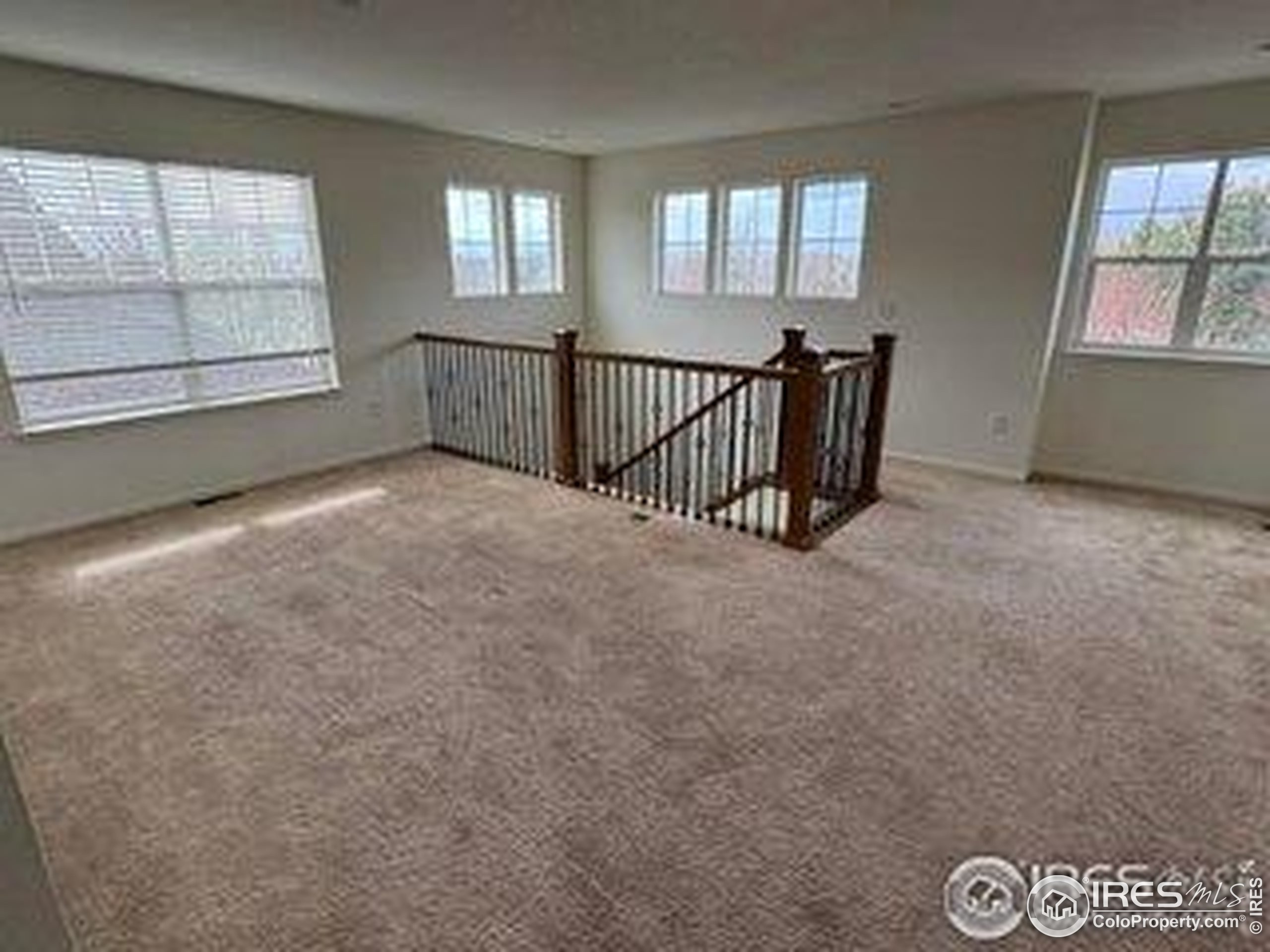 1435 Rustic Dr