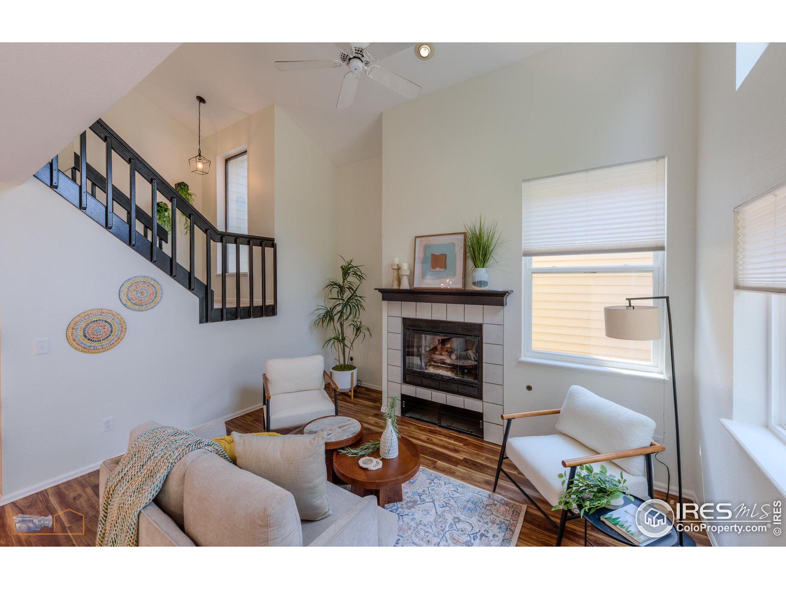 67 Mineola Ct