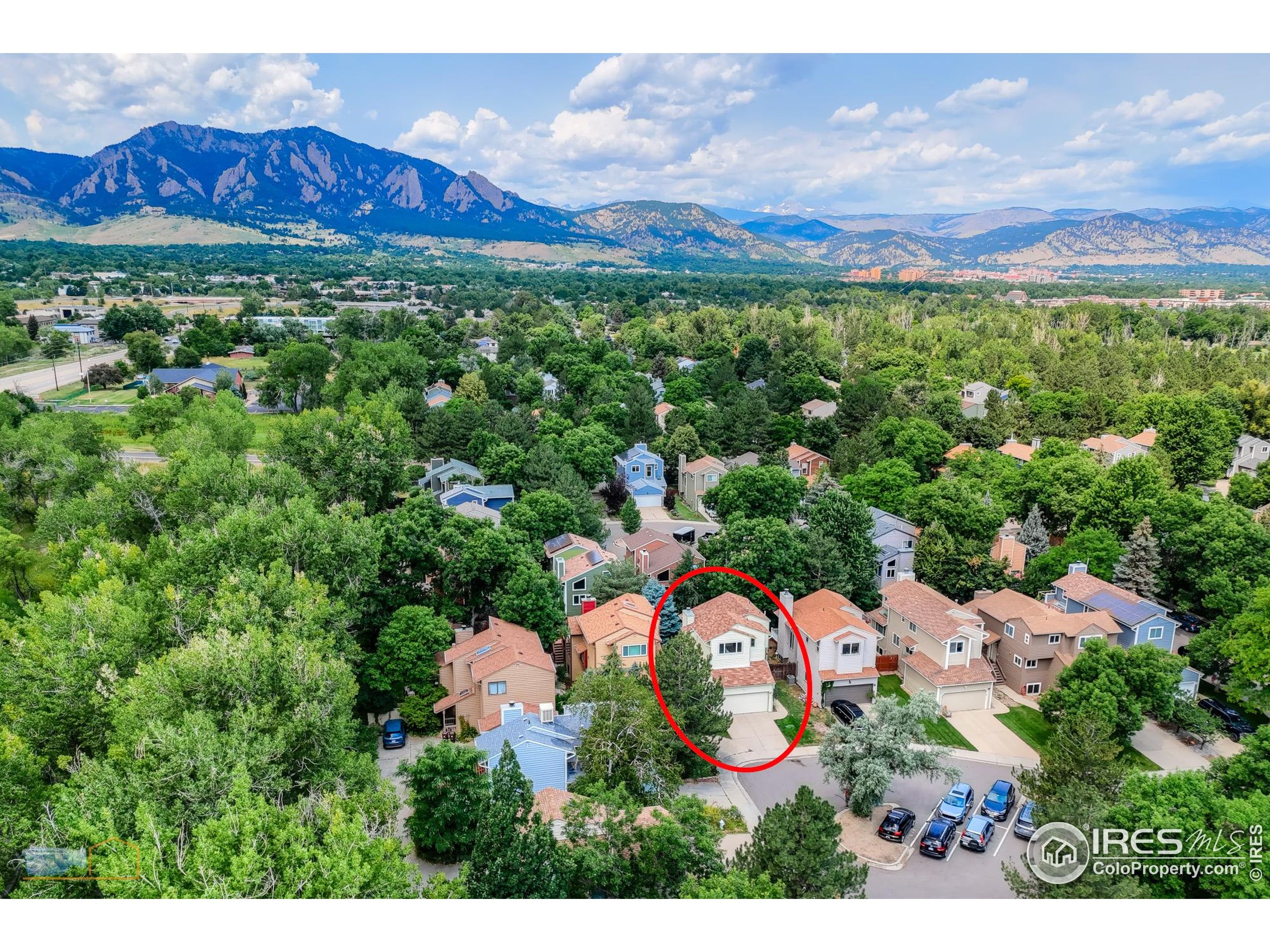 67 Mineola Ct