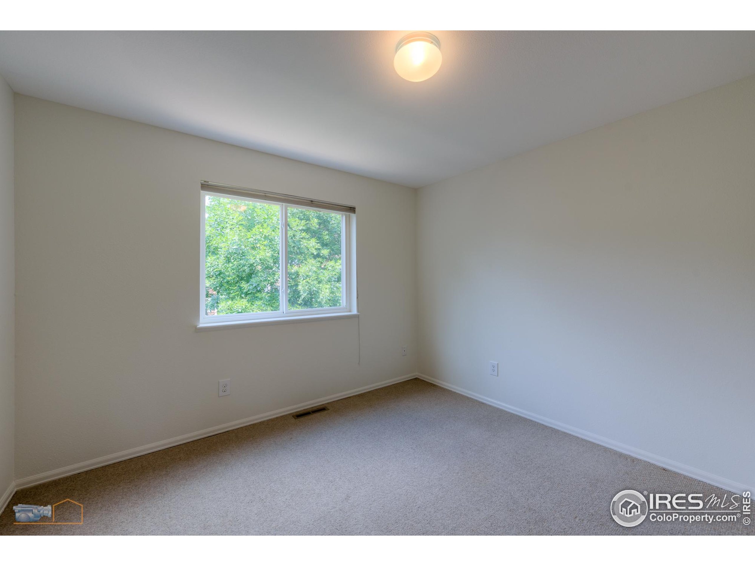 67 Mineola Ct