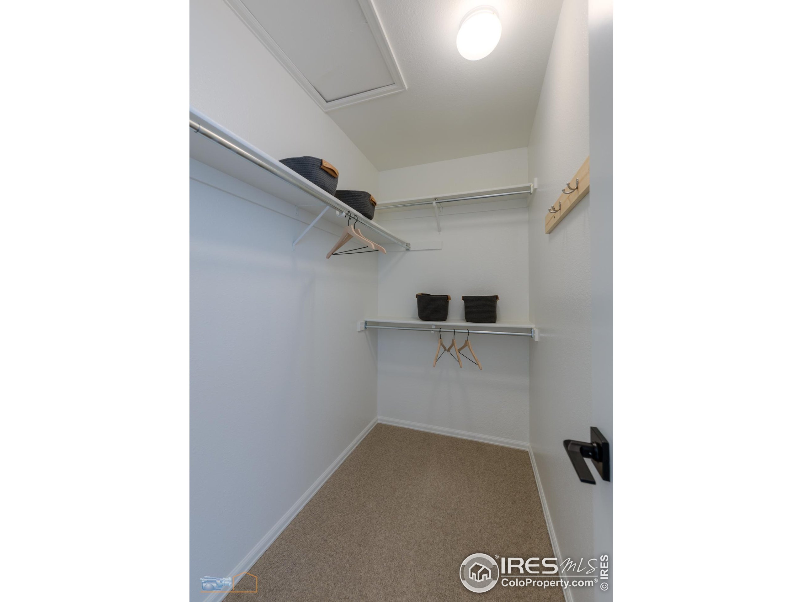 67 Mineola Ct