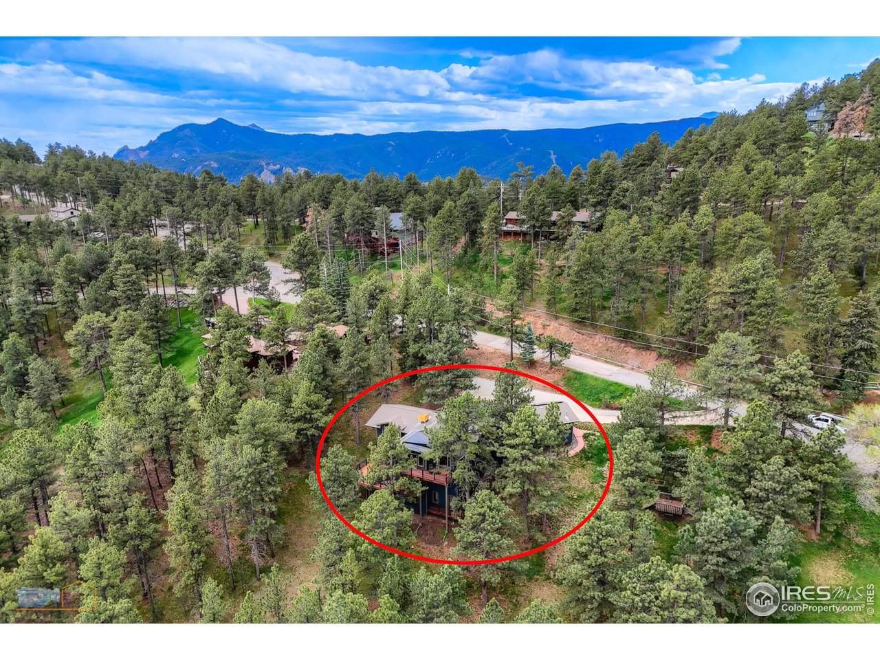 335 Pine Tree Ln