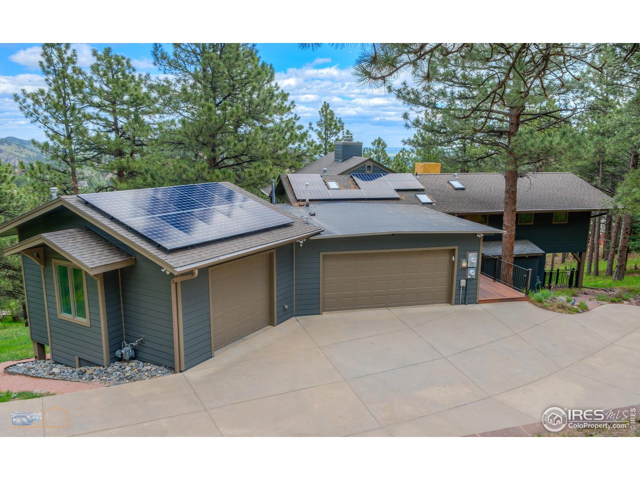 335 Pine Tree Ln