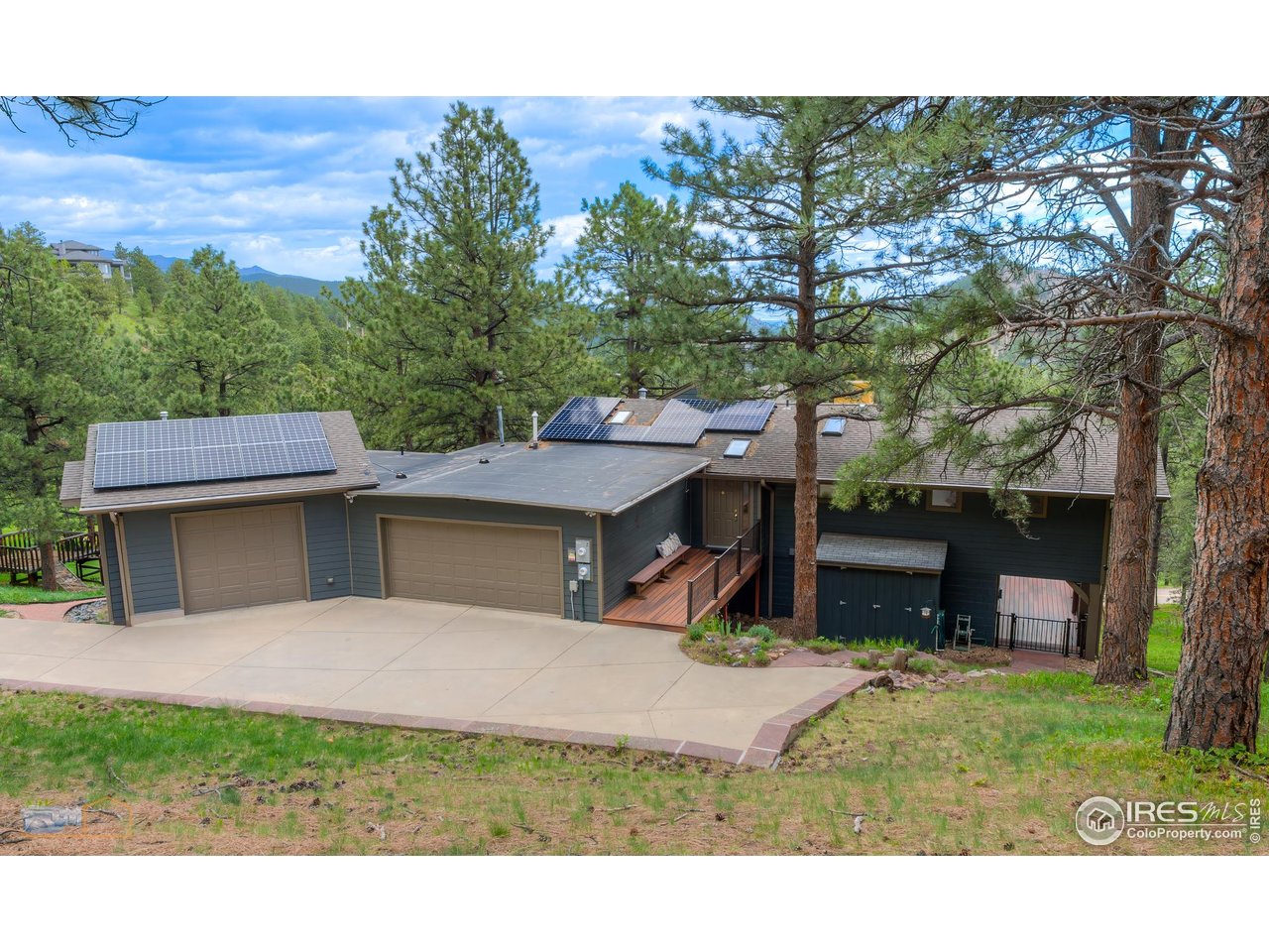 335 Pine Tree Ln