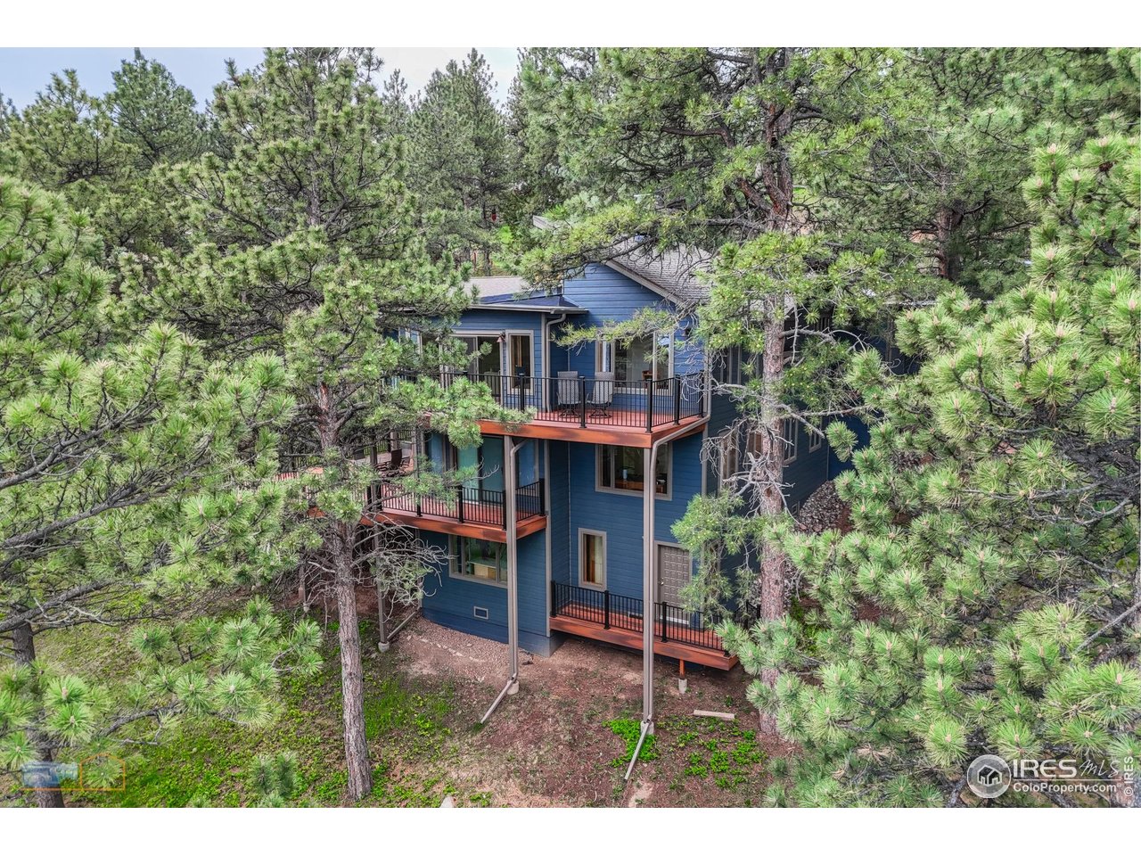 335 Pine Tree Ln