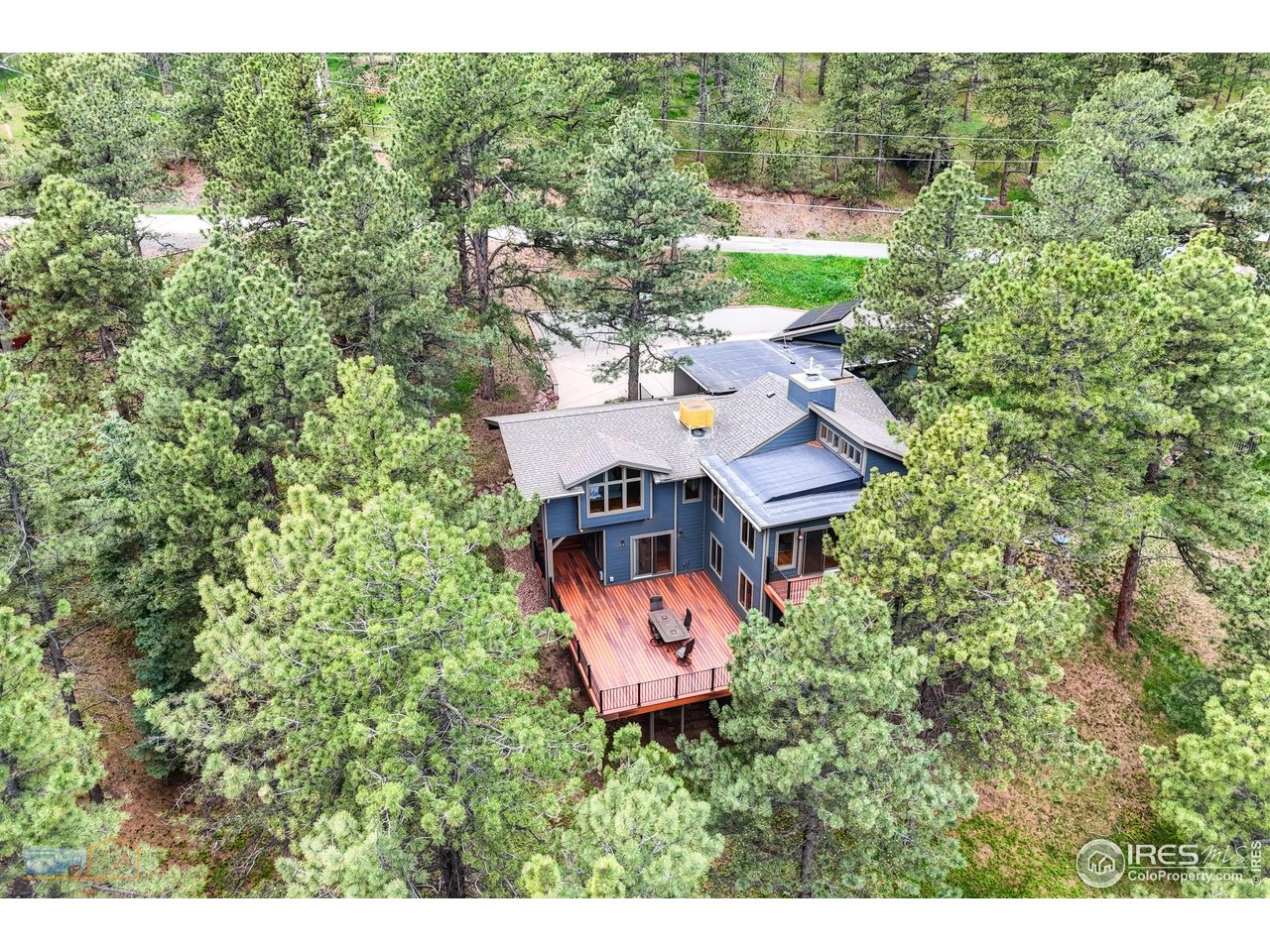 335 Pine Tree Ln