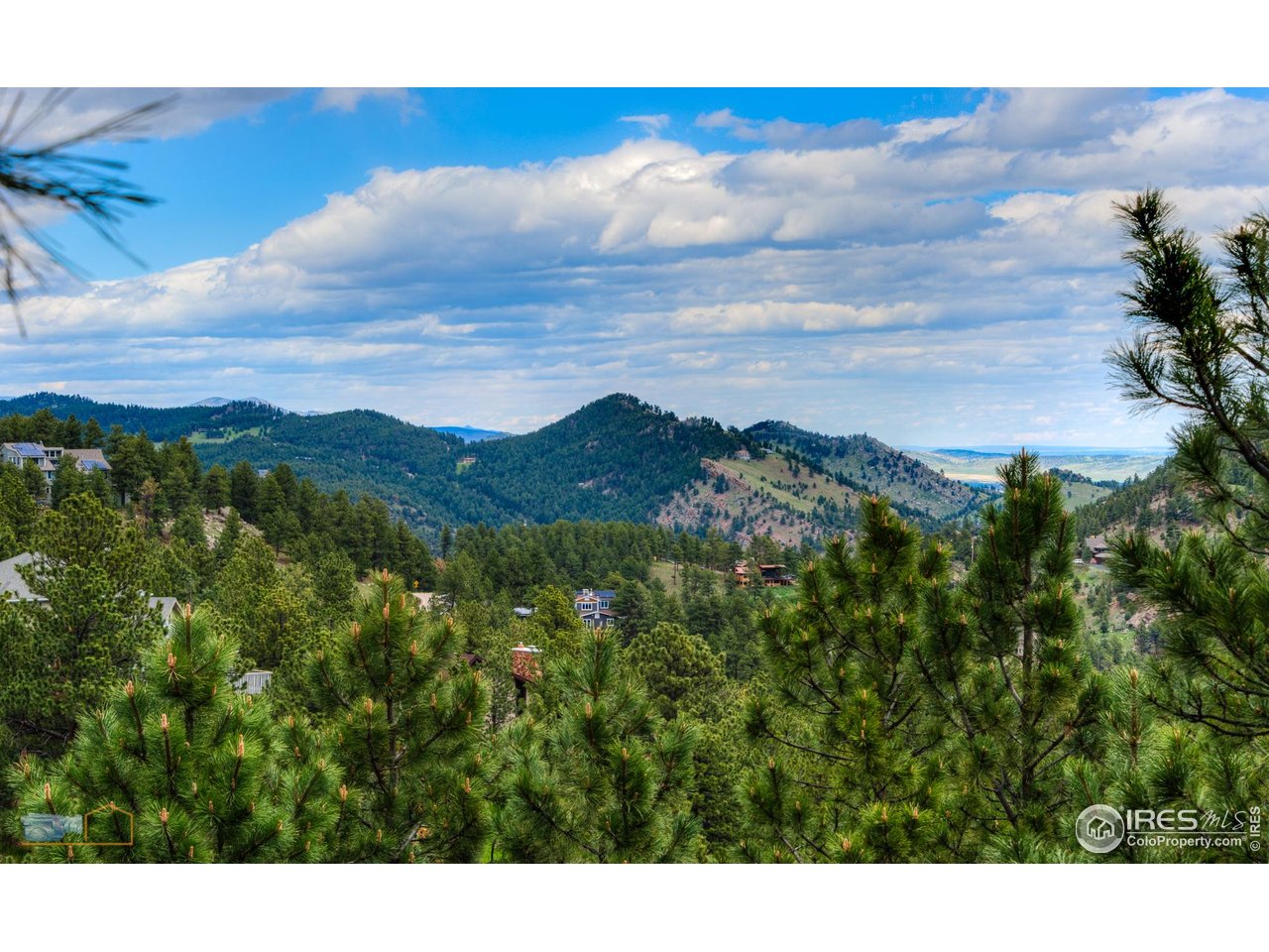335 Pine Tree Ln