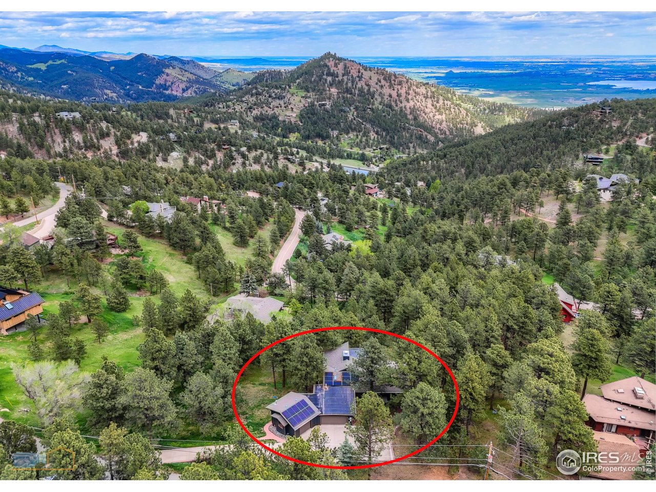 335 Pine Tree Ln