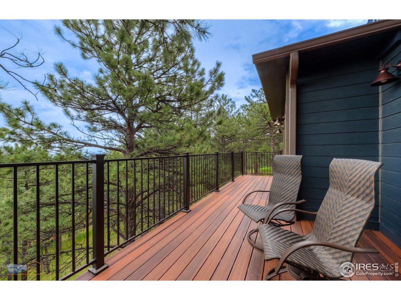 335 Pine Tree Ln