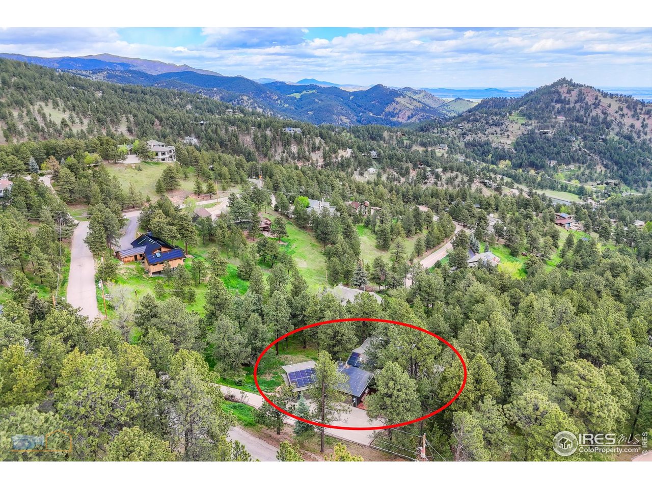 335 Pine Tree Ln