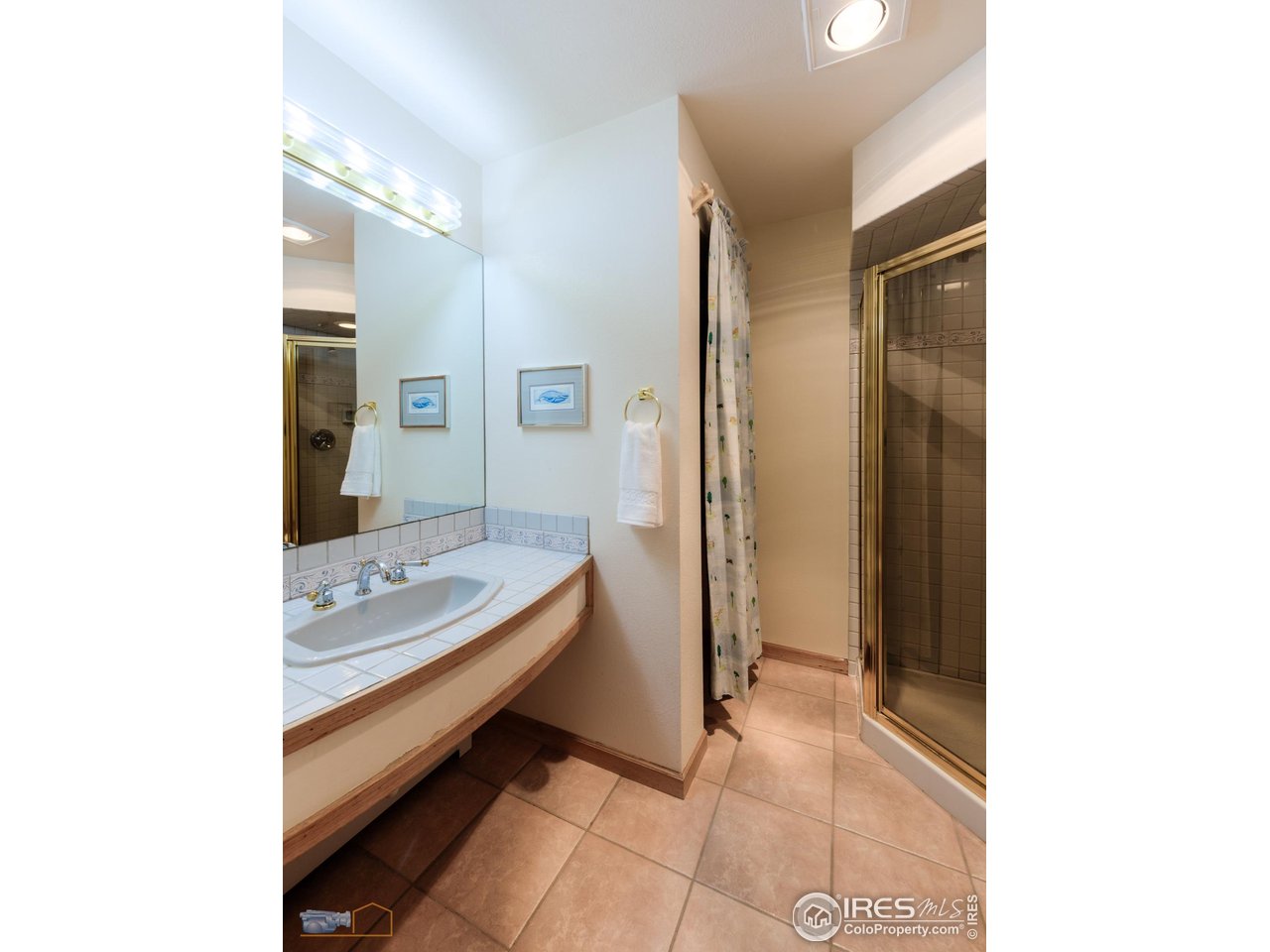 335 Pine Tree Ln