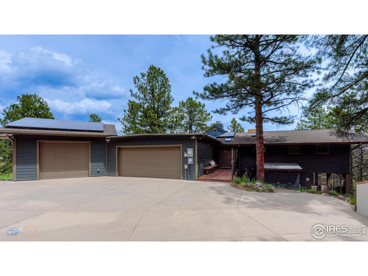 335 Pine Tree Ln