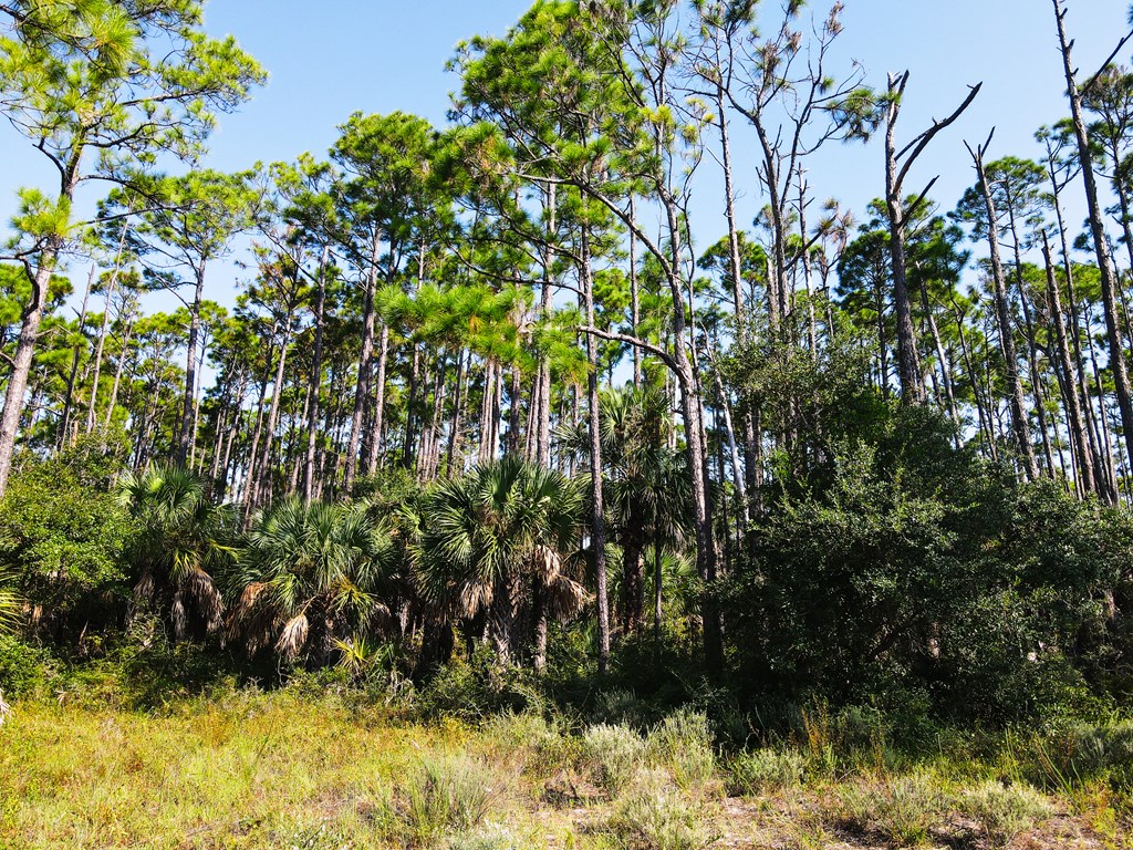 TBD Cr 30-a, Port St. Joe 32456