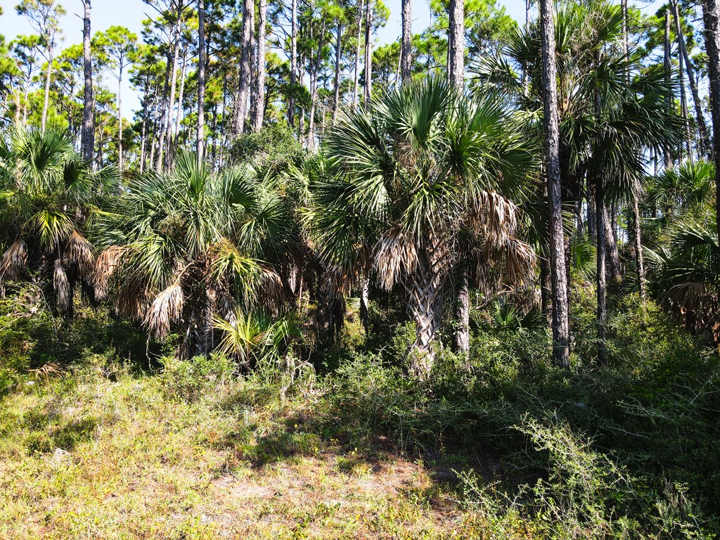 TBD Cr 30-a, Port St. Joe 32456