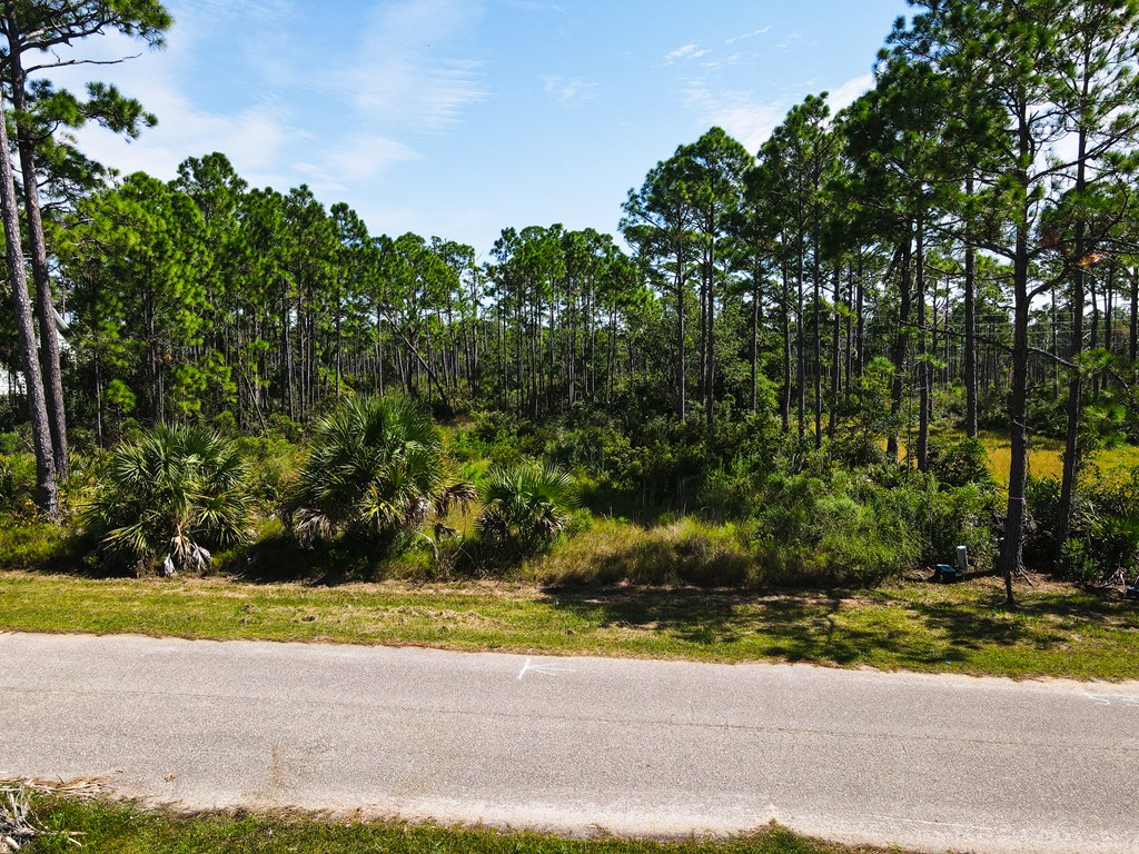 Lot 3 Sandbar Dr, Port St. Joe 32456