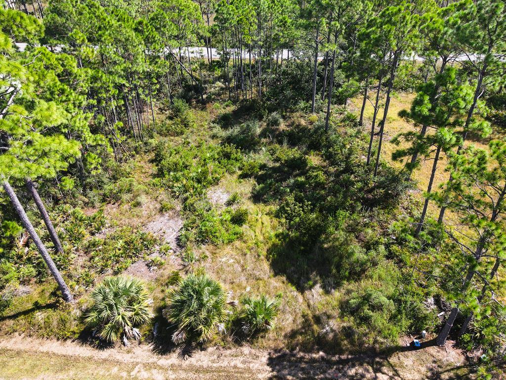 Lot 3 Sandbar Dr, Port St. Joe 32456