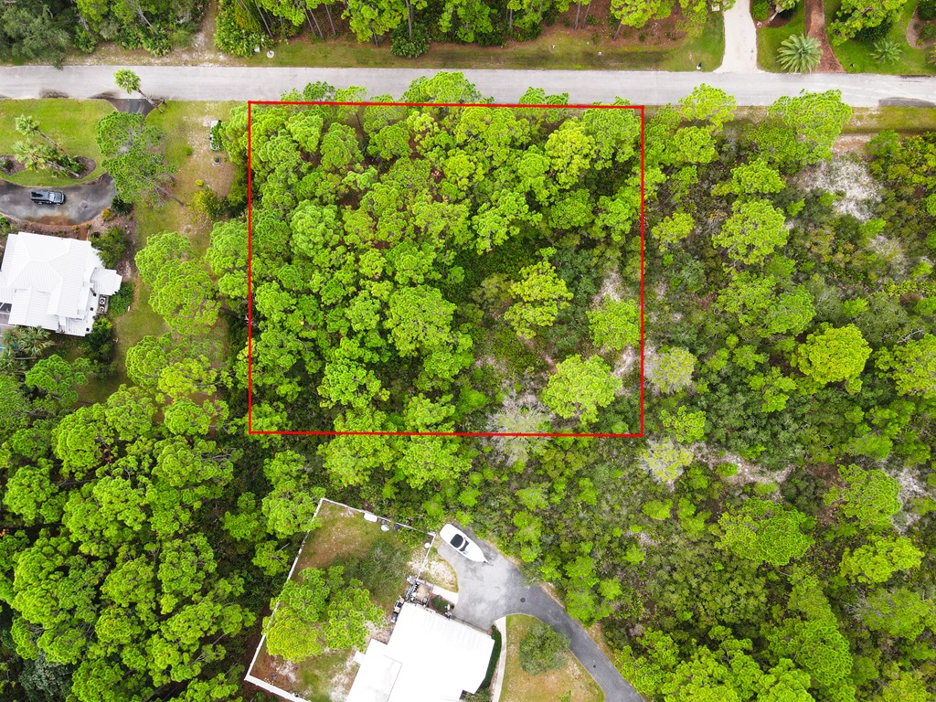 272 Magnolia Bay Dr, 32328