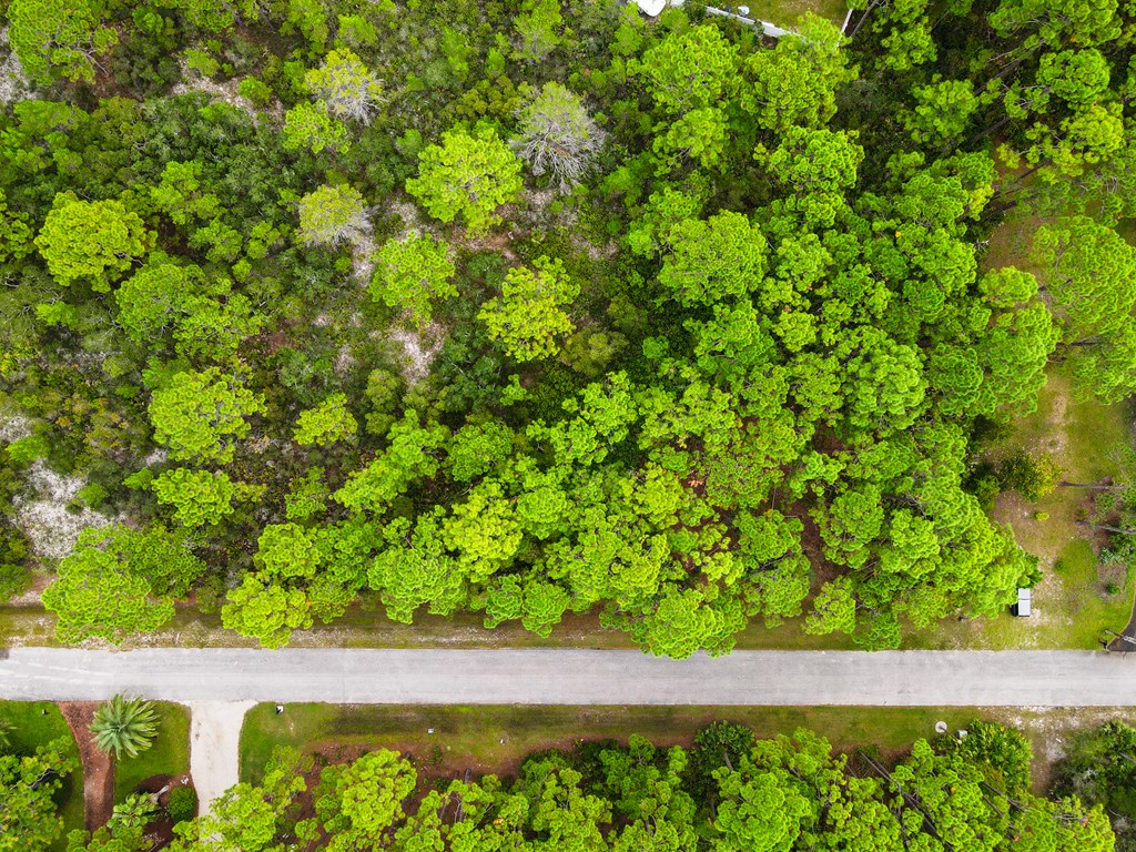 272 Magnolia Bay Dr, 32328