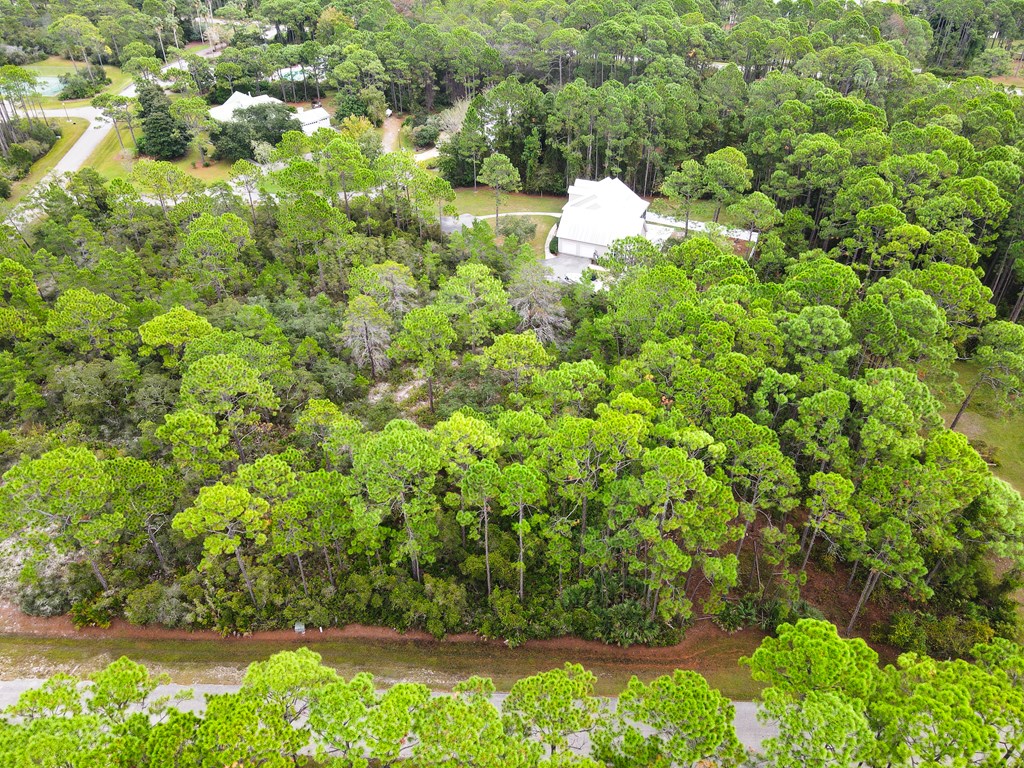 272 Magnolia Bay Dr, 32328