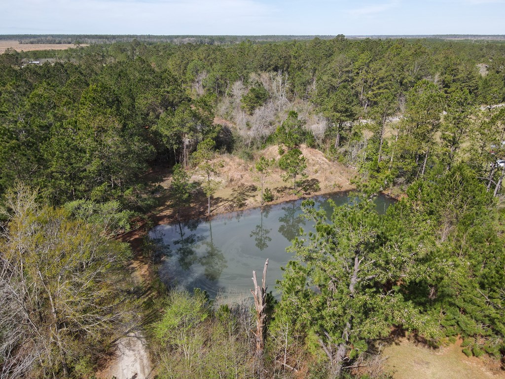 6352 Ganley Rd, 32465