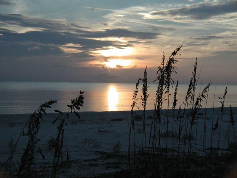 3515 Cr 386 S, 32456