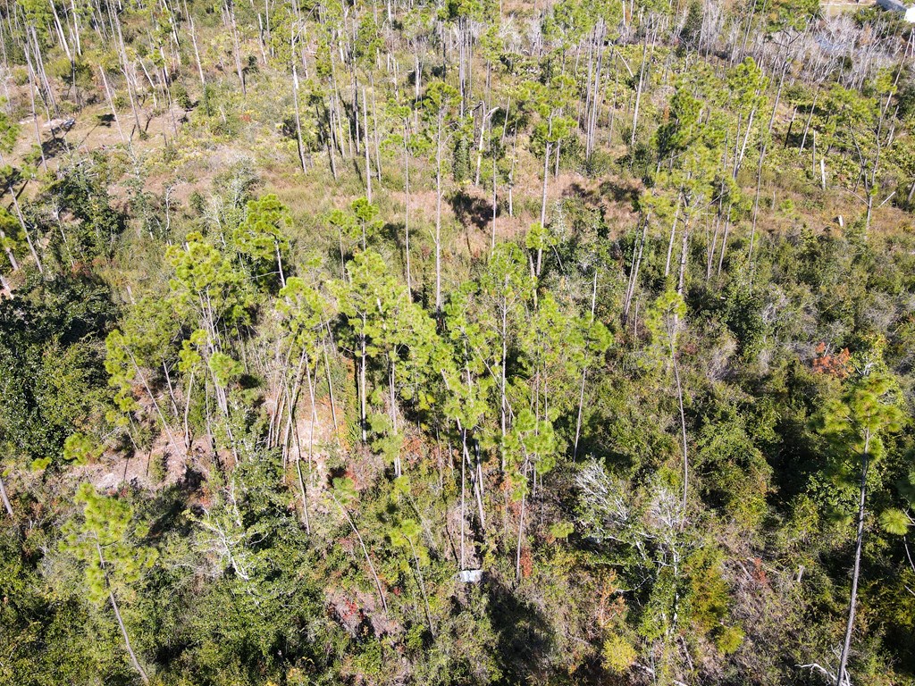 3515 Cr 386 S, 32456