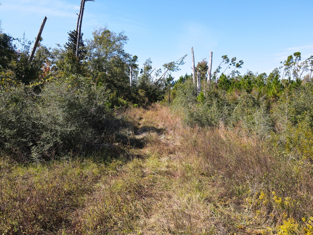 3515 Cr 386 S, 32456