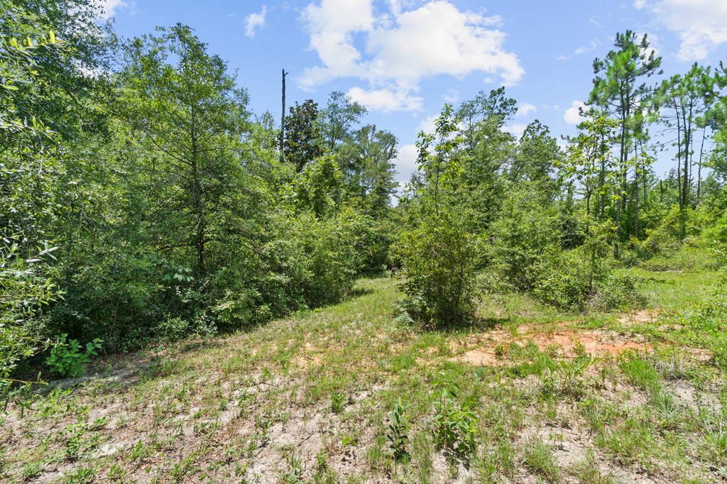 2701 Se Cypress Point Rd, 32449